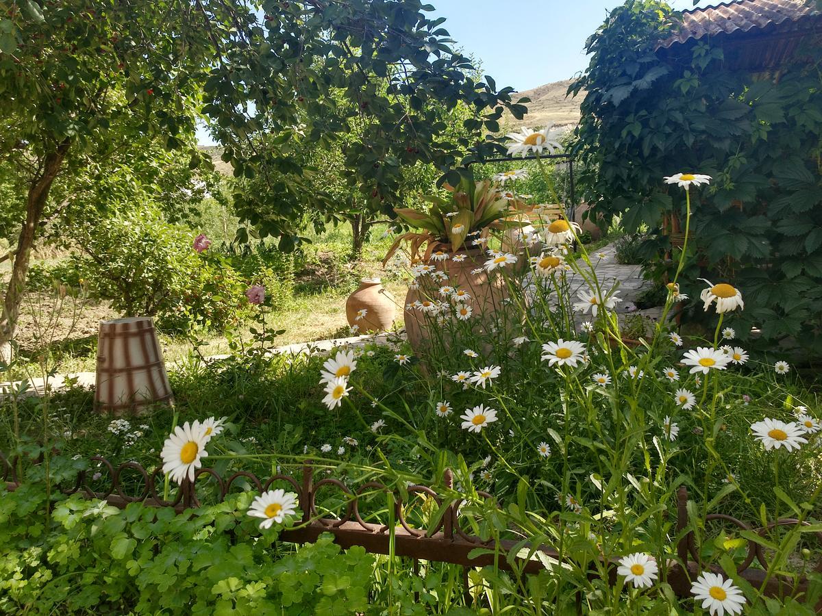 Gayane & Khikar B&B Chʼiva Extérieur photo